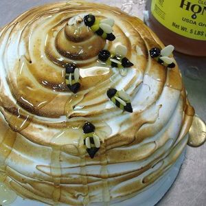 Meet your Posher, Alison